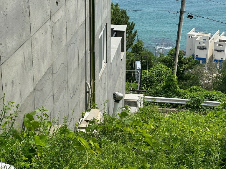 사진 03