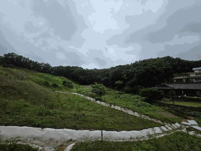 사진 05