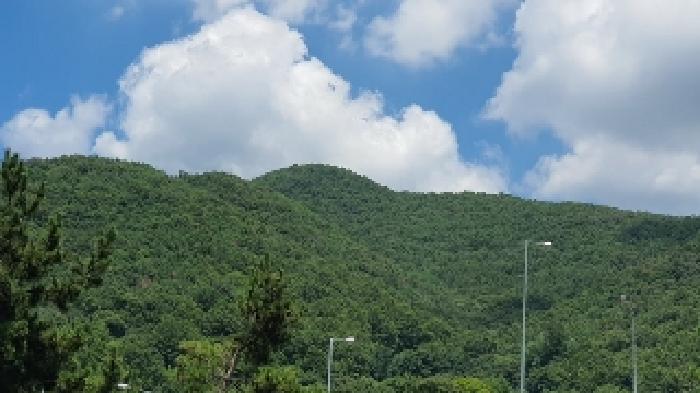 사진 08
