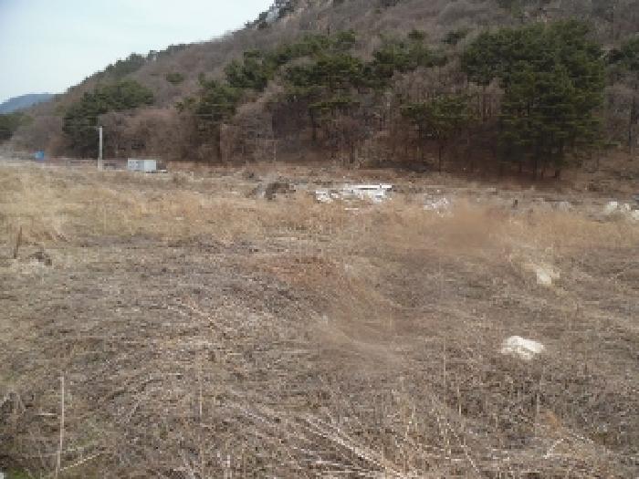 사진 02