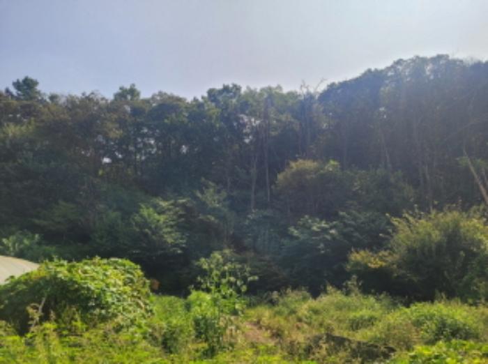 사진 05