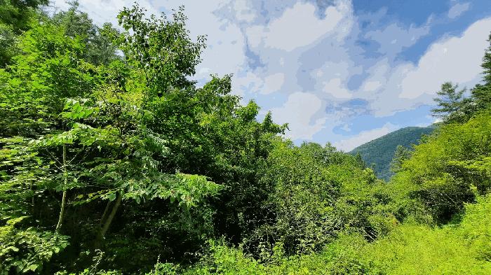 사진 02
