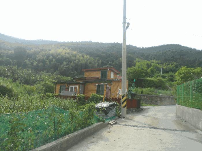 사진 03
