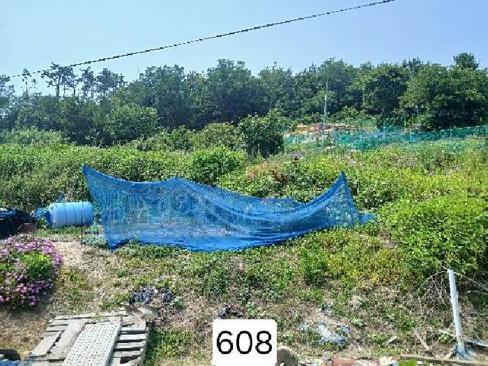 사진 05