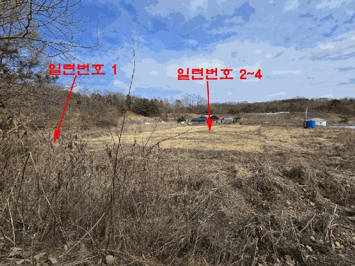 사진 05