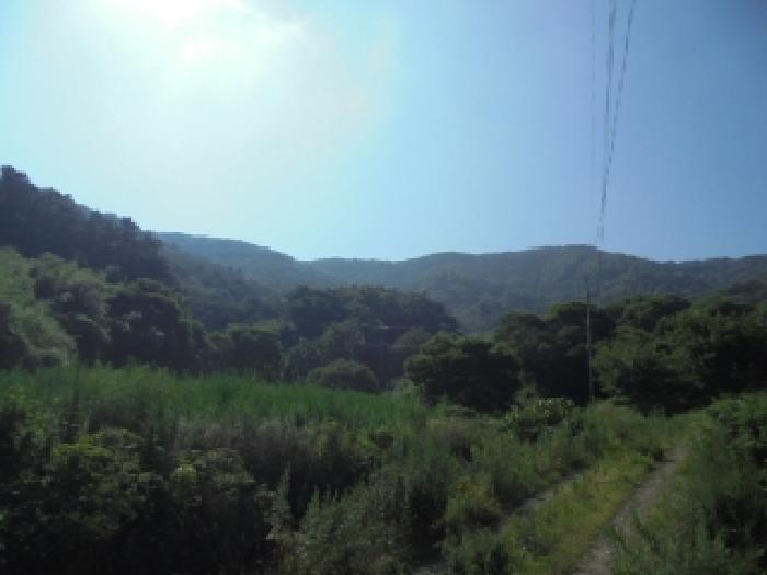 사진 02