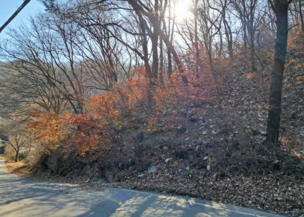 사진 07