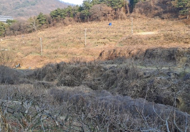 사진 01
