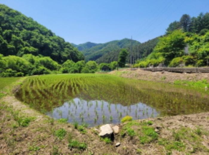 사진 04