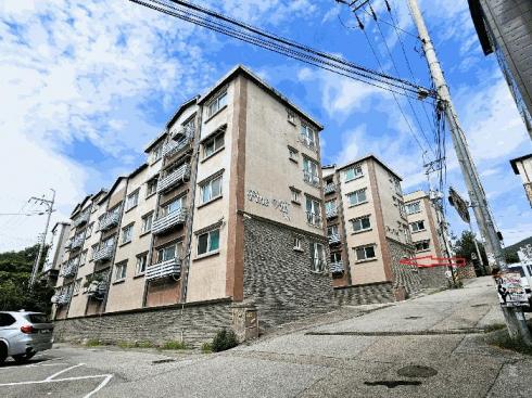 사진 01