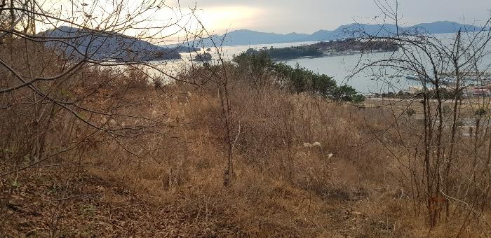 사진 04