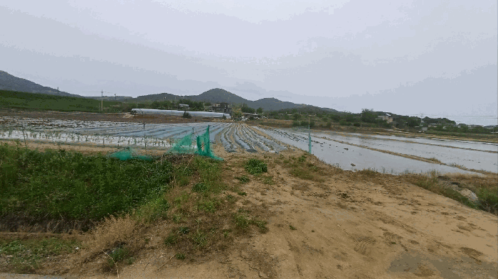 사진 06