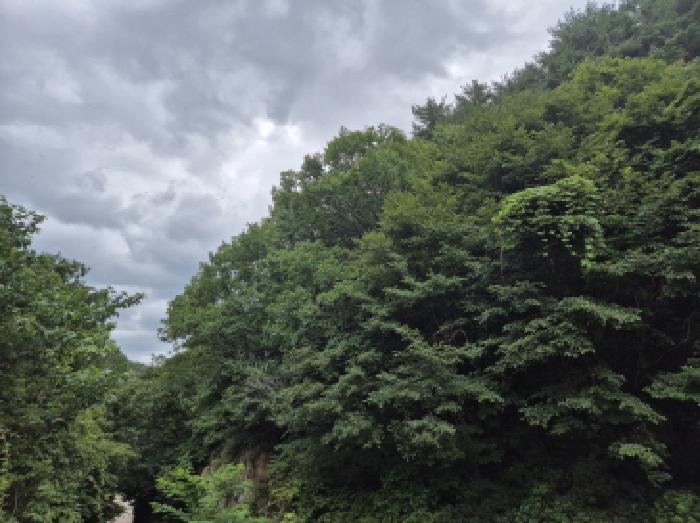 사진 06