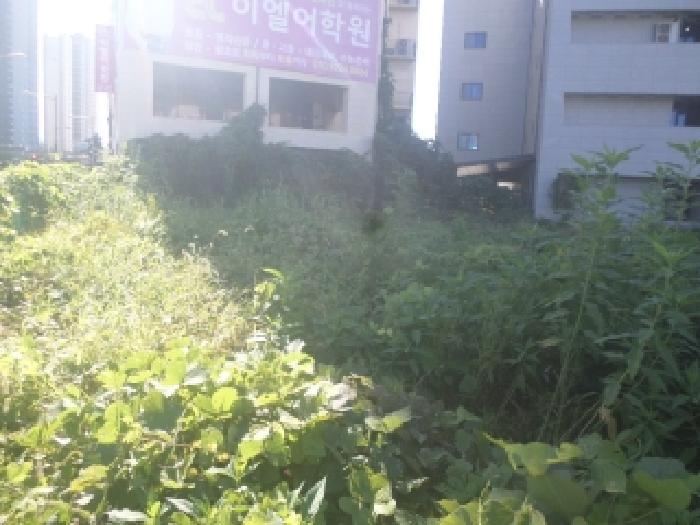 사진 08
