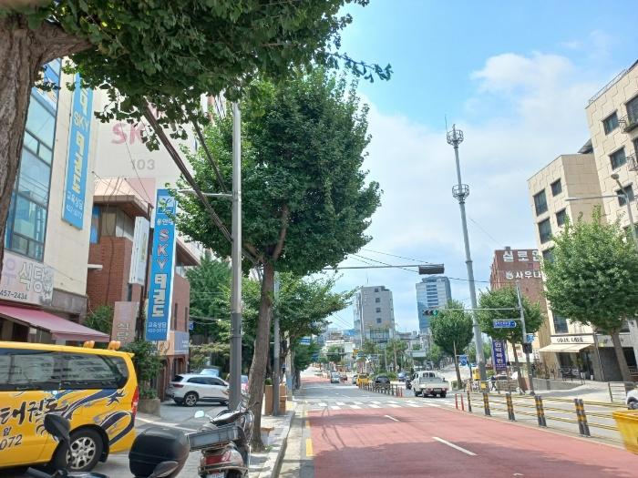 사진 06