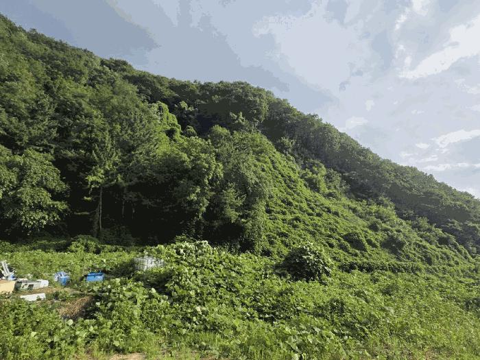 사진 04