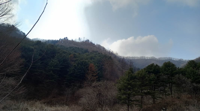 사진 02