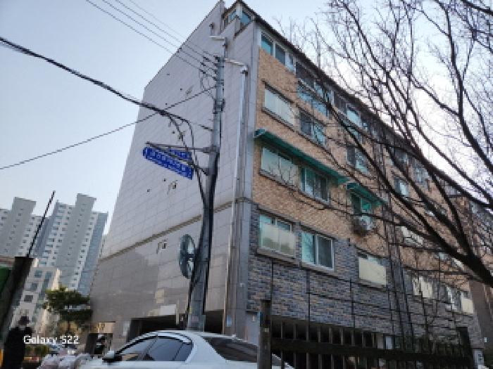 사진 01