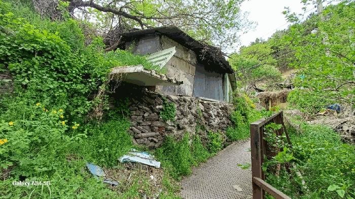 사진 06