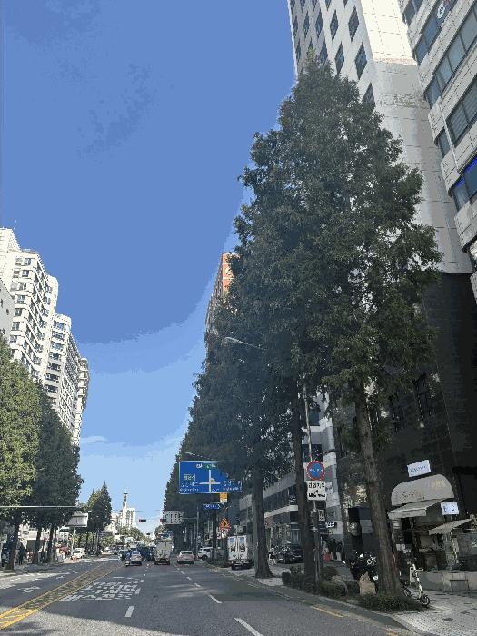 사진 04