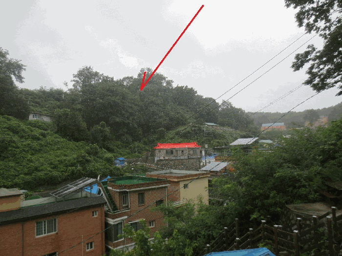 사진 06