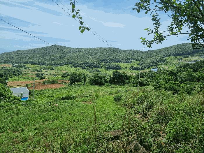사진 06