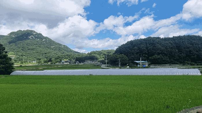 사진 05