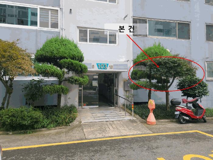 사진 05