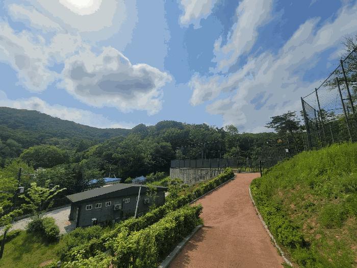 사진 06