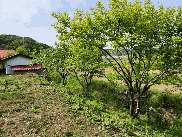 사진 06