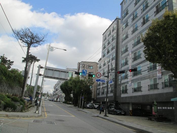 사진 01