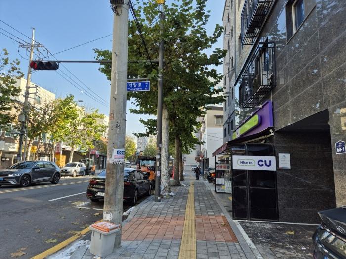 사진 02
