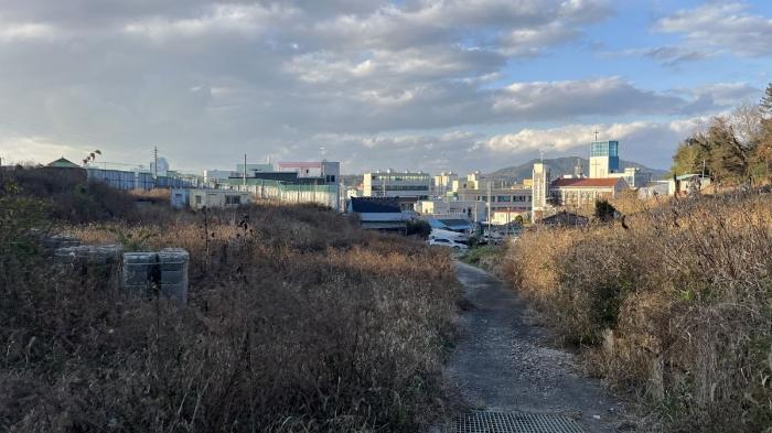 사진 01