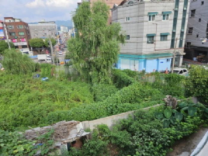 사진 01