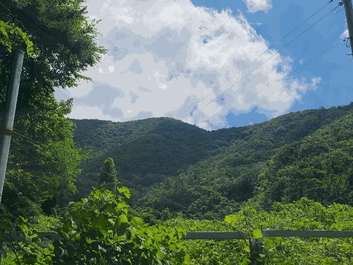 사진 02