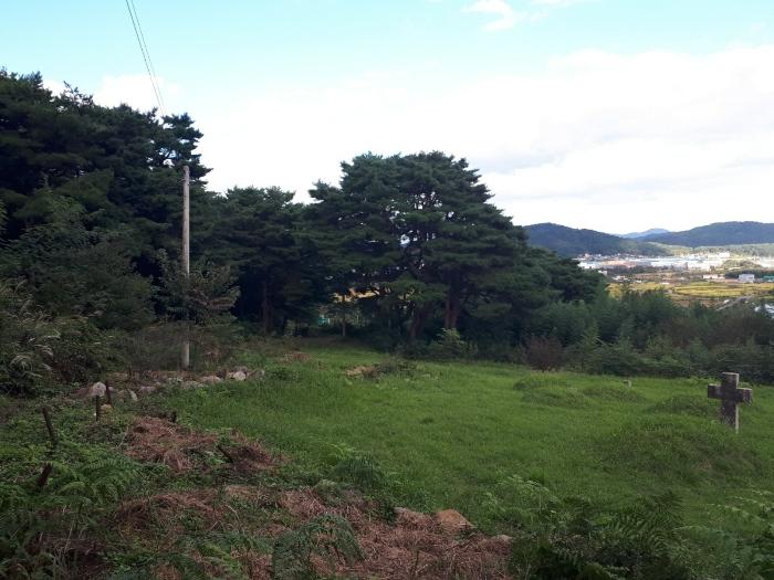 사진 04