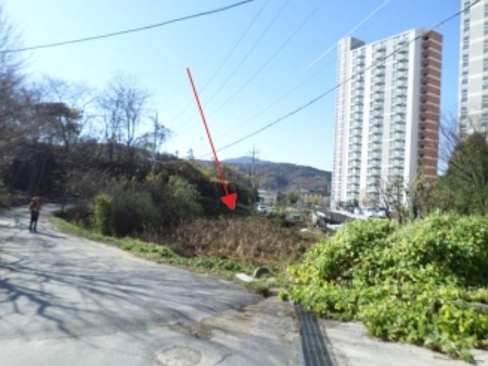 사진 03