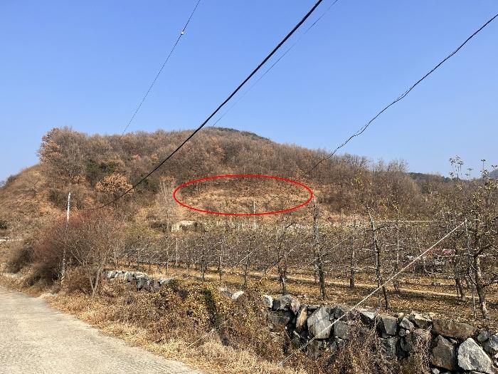 사진 06