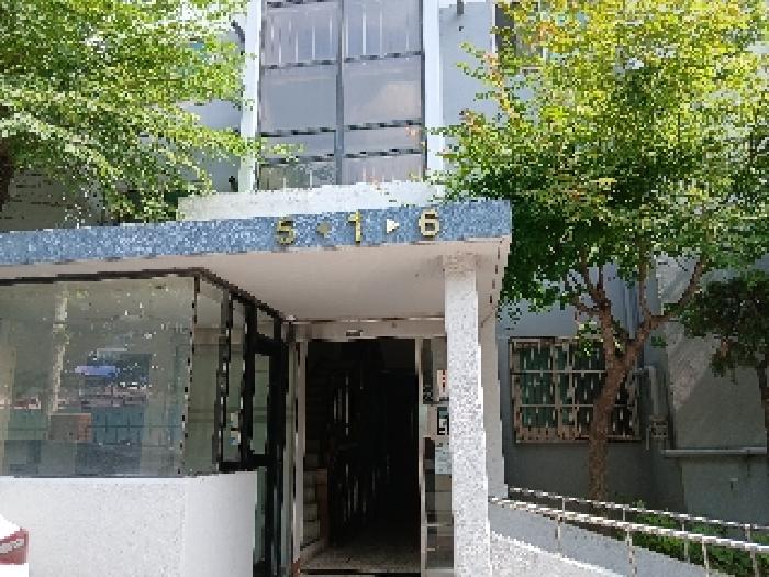 사진 01
