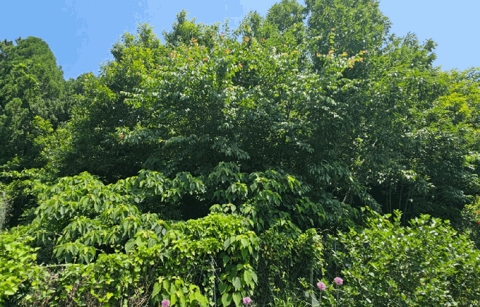 사진 08