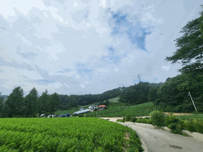 사진 03