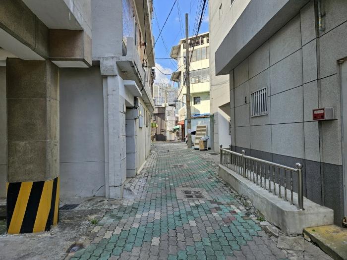 사진 03