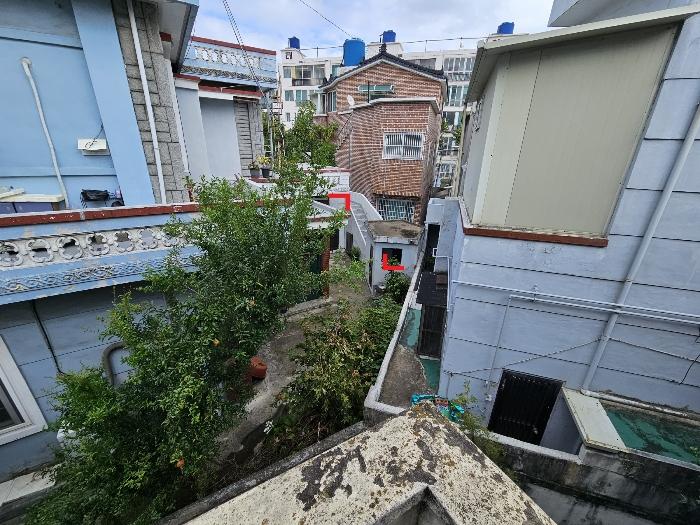 사진 03