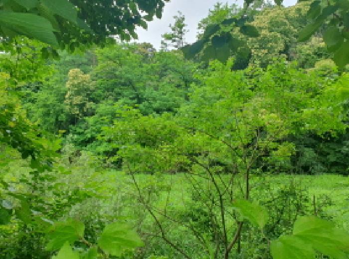 사진 06