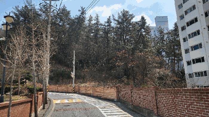 사진 05