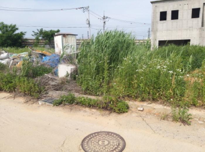 사진 06
