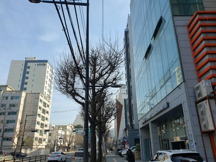 사진 05