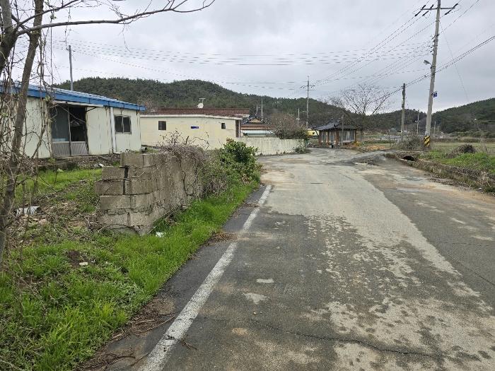 사진 06