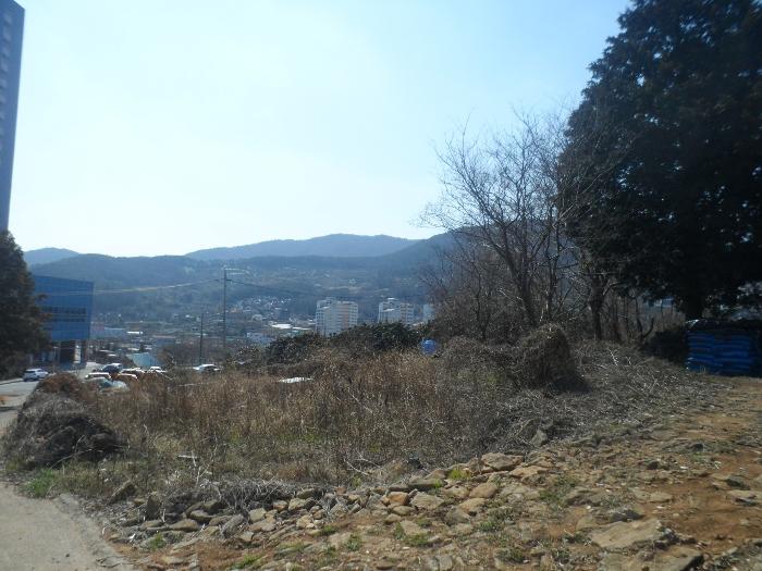 사진 03