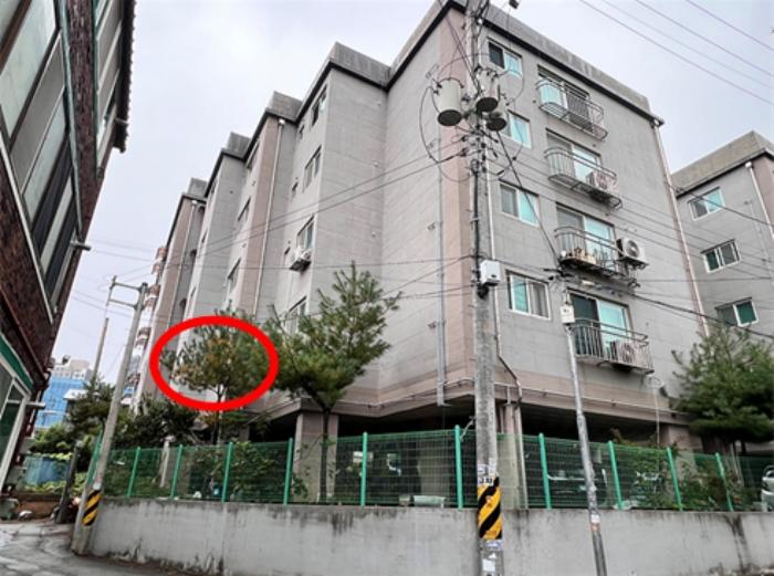 사진 04